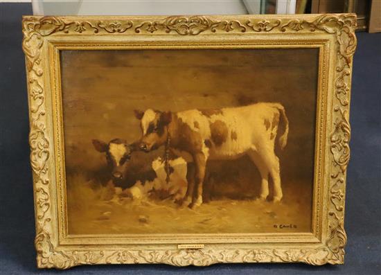 David Gauld (1866-1936) Calves 18 x 24in.